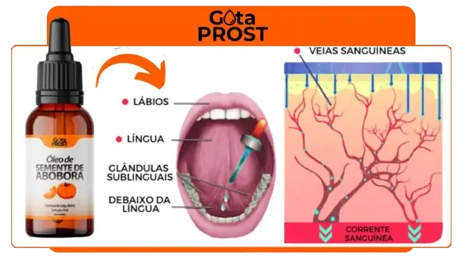 Gota Prost, fórmula exclusiva para proteger a próstata, aliviar desconfortos urinários e promover o bem-estar masculino